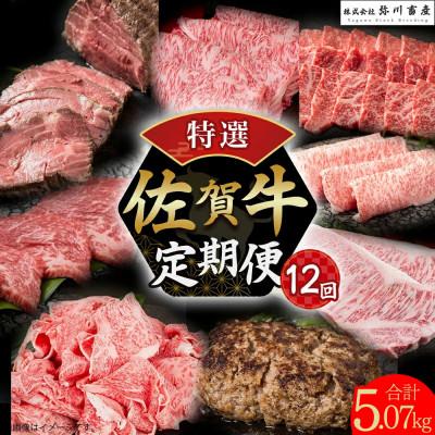ふるさと納税 太良町 [発送月固定定期便]佐賀牛 特選!定期便[V11×1](太良町)全12回
