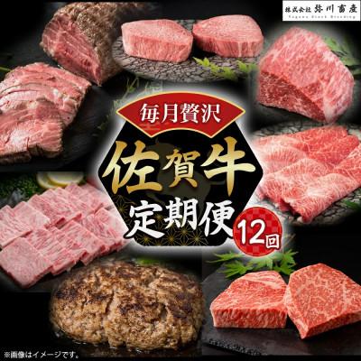ふるさと納税 太良町 [発送月固定定期便]佐賀牛 毎月贅沢便 [W1×1](太良町)全12回