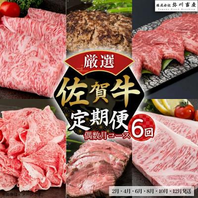 ふるさと納税 太良町 [発送月固定定期便]佐賀牛 厳選!定期便(偶数月コース)[T31×1](太良町)全6回