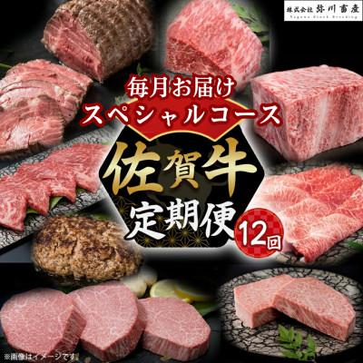 ふるさと納税 太良町 [発送月固定定期便]佐賀牛 毎月お届け便(スペシャルコース50)[Z2](太良町)全12回