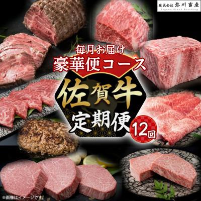 ふるさと納税 太良町 [発送月固定定期便]佐賀牛 毎月豪華便100[ZAF1](太良町)全12回