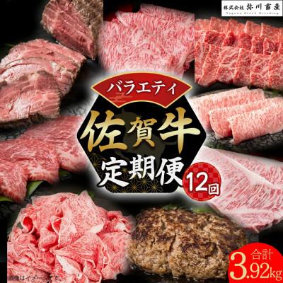 ふるさと納税 太良町 [発送月固定定期便]佐賀牛 バラエティ定期便[UB1×1](太良町)全12回