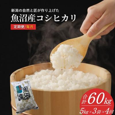ふるさと納税 小千谷市 [発送月固定定期便]先行予約 10月下旬発送 魚沼産コシヒカリ精米15kg 共栄 全4回