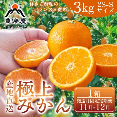 ふるさと納税 八幡浜市 [発送月固定定期便][農家直送]果汁たっぷり真穴産みかん 3kg(2S~S)[98-50]全2回