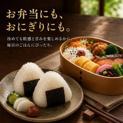 ふるさと納税 吉野ヶ里町 【毎月定期便】『さがびより白米10kg』(5kg×2)五つ星お米マイスター厳選(吉野ヶ里町)全3回 |  | 02