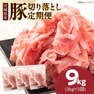 ふるさと納税 日南市 [毎月定期便]小分けで便利 豚切り落とし(計3kg) 総重量9kg お楽しみ定期便全3回