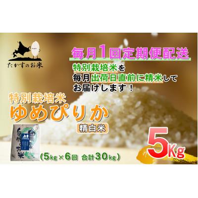 ふるさと納税 鷹栖町 [毎月定期便]たかすのお米「特別栽培米 ゆめぴりか」5kg(精白米)全6回