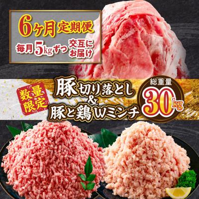 ふるさと納税 日南市 [毎月定期便][数量限定]お楽しみ定期便 豚肉・鶏肉ミンチ 豚切り落としセット 総重量30kg全6回