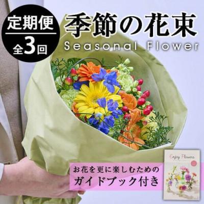 ふるさと納税 門川町 [毎月定期便]季節のお楽しみブーケ(Sサイズ)全3回