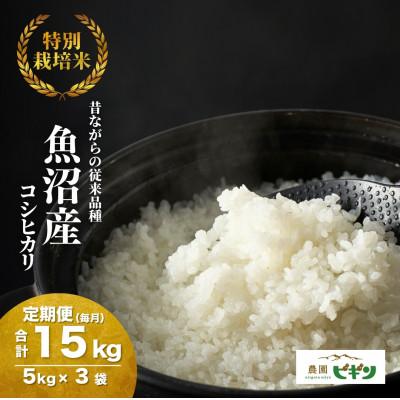 ふるさと納税 小千谷市 [発送月固定定期便]10月下旬より発送 昔ながらの魚沼産コシヒカリ精米5kg全3回