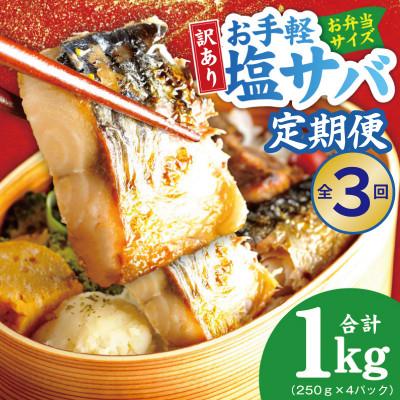 ふるさと納税 泉佐野市 [毎月定期便]塩さば 1kg(250g×4P) お弁当サイズ 生活応援 小分け 切身 訳あり全3回