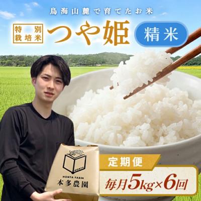ふるさと納税 酒田市 [発送月固定定期便][先行受付]つや姫 精米 5kg 10月〜3月発送全6回