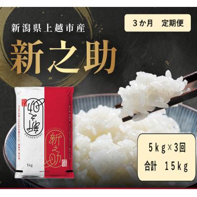 ふるさと納税 上越市 [発送月固定定期便][10月より出荷予定]新潟県産 新之助 白米 5kg全3回
