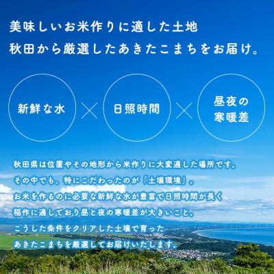 ふるさと納税 八郎潟町 【毎月定期便】あきたこまち 家計お助け米 5kg【白米】 秋田県産全12回 |  | 02