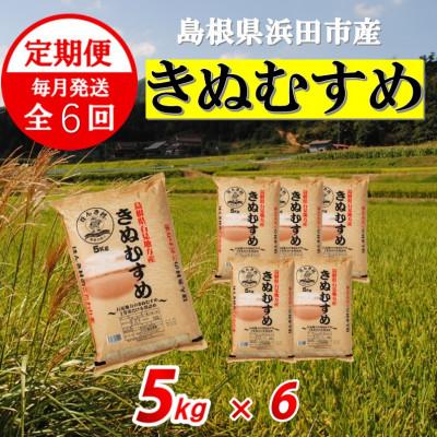 ふるさと納税 浜田市 [毎月定期便]きぬむすめ5kg(6回)合計30kg全6回