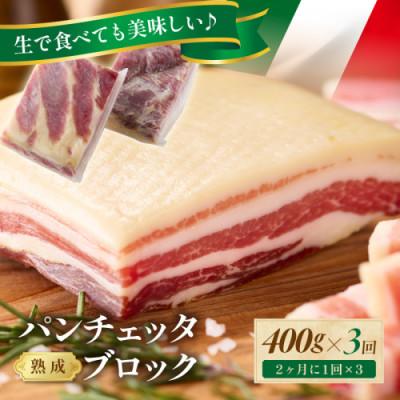 ふるさと納税 京丹後市 [2ヵ月毎定期便]手仕込み熟成パンチェッタ ブロック 400g(約200g×2袋) 生ベーコン全3回