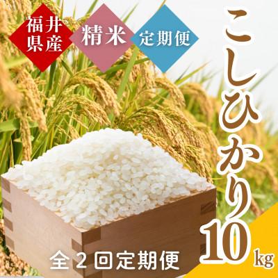 ふるさと納税 小浜市 [毎月定期便]福井県産こしひかり白米10kg全2回