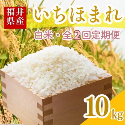 ふるさと納税 小浜市 [毎月定期便]いちほまれ白米10kg全2回