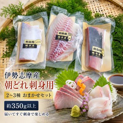 ふるさと納税 南伊勢町 [毎月定期便]訳あり 伊勢志摩産 朝どれ新鮮 2〜3種 約350g お刺身用 おまかせセット全3回
