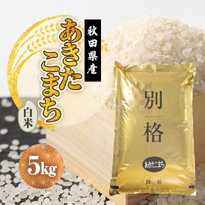 ふるさと納税 大潟村 [発送月固定定期便]あきたこまち 白米 5kg 10月〜12月発送全3回