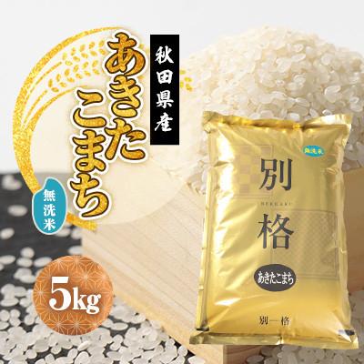 ふるさと納税 大潟村 [発送月固定定期便]あきたこまち 無洗米 5kg 10月〜12月発送全3回