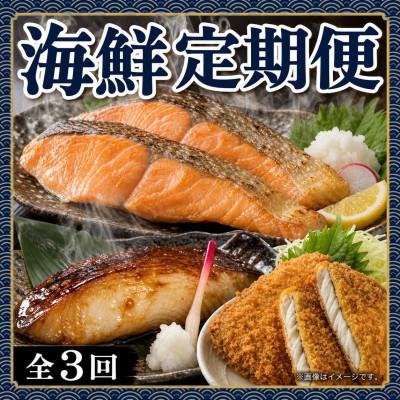 ふるさと納税 湯浅町 [毎月定期便]魚鶴の海鮮定期便(銀鮭・銀だら・あじフライ)全3回