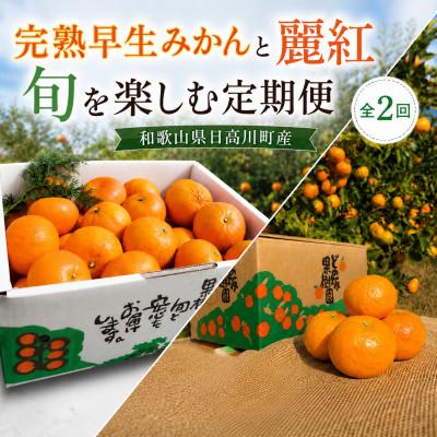 ふるさと納税 日高川町 [発送月固定定期便]完熟早生みかん(12月)・高級柑橘 麗紅(2月)各5kg/どの坂果樹園全2回