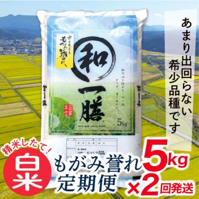 ふるさと納税 最上町 [発送月固定定期便]買い忘れなしで美味しいもがみ誉れ5kg(白米)が届く全2回