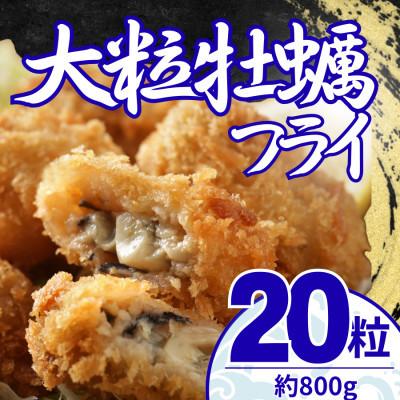 ふるさと納税 大磯町 [毎月定期便]大粒の牡蠣を使用!カキフライ20粒(約800g) 簡単調理!〜神奈川県大磯町〜全9回