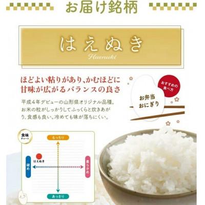 ふるさと納税 酒田市 【毎月定期便】はえぬき 精米 5kg全6回 |  | 01