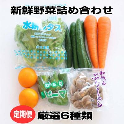 ふるさと納税 印南町 [毎月定期便]旬の新鮮野菜セット6種類 和歌山産[野菜詰め合わせ]全3回