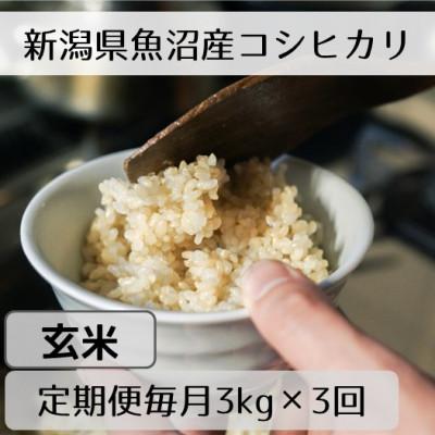 ふるさと納税 十日町市 【毎月定期便】新潟県魚沼産コシヒカリ「山清水米」玄米3kg全3回 | 