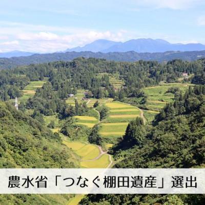 ふるさと納税 十日町市 【毎月定期便】新潟県魚沼産コシヒカリ「山清水米」玄米3kg全3回 |  | 02