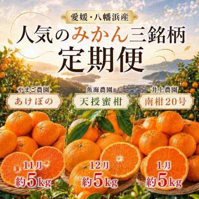 ふるさと納税 八幡浜市 [発送月固定定期便]甘いみかん!!三銘柄「あけぼの」「天授蜜柑」「南柑20号」[39-91]全3回