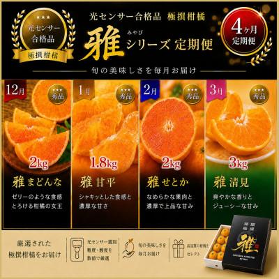 ふるさと納税 八幡浜市 [発送月固定定期便]極撰柑橘「雅」光センサー合格品 まどんな・甘平・せとか・清見[39-93]全4回