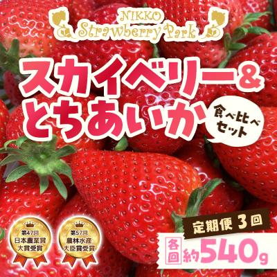 ふるさと納税 日光市 [発送月固定定期便]日光ストロベリーパークの『スカイベリー』&amp;『とちあいか』270g×2パック全3回