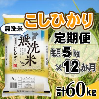 ふるさと納税 大網白里市 【毎月定期便】コシヒカリ 無洗米 5kg (5kg×1