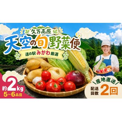 ふるさと納税 久万高原町 [発送月固定定期便][道の駅みかわ厳選]天空の旬野菜便(野菜 詰め合わせ 5〜6種類)春夏便全2回