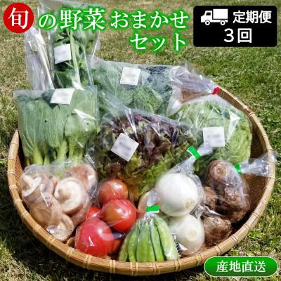 ふるさと納税 北広島町 [毎月定期便][毎月届く]季節野菜 道の駅直送おまかせセット さんさん市全3回