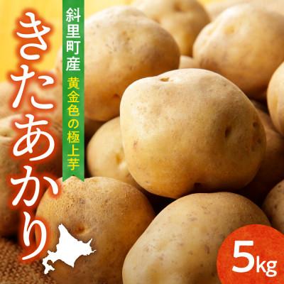 ふるさと納税 斜里町 [毎月定期便]知床の大自然が育む黄金色の極上芋 きたあかり 5kg 北海道産じゃがいも全3回