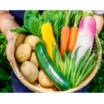 ふるさと納税 久万高原町 [毎月定期便]旬野菜と加工品セット全3回