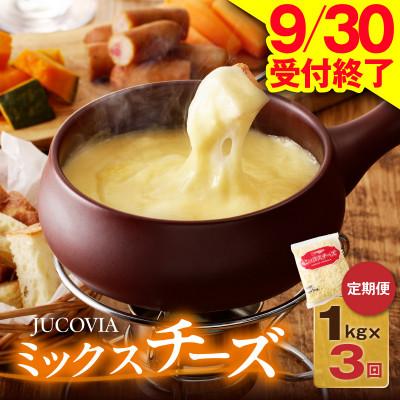 ふるさと納税 泉佐野市 [毎月定期便]9/30受付終了 JUCOVIA ミックスチーズ 1kg 小分け全3回