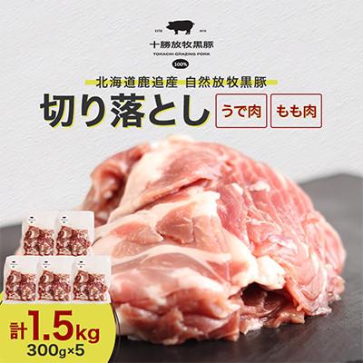 ふるさと納税 鹿追町 [毎月定期便]黒豚 切り落とし(うでもも)300g×5全2回