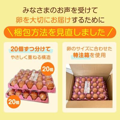 ふるさと納税 舞鶴市 【毎月定期便】卵 40個 赤たまご全3回 |  | 03