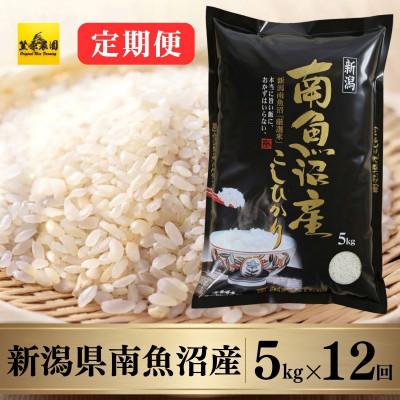 ふるさと納税 南魚沼市 【毎月定期便】南魚沼産コシヒカリ　5kg全12回