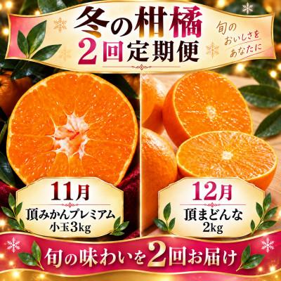 ふるさと納税 八幡浜市 [発送月固定定期便]頂みかんプレミアム小玉3kg&amp;頂まどんな2kg|食べ比べ[31-71]全2回