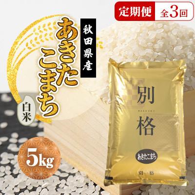 ふるさと納税 大潟村 【毎月定期便】あきたこまち 白米 5kg全3回 | 