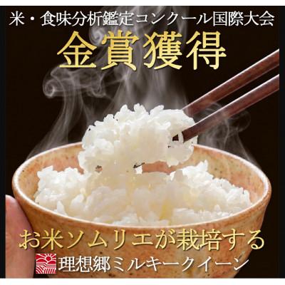 ふるさと納税 横芝光町 【毎月定期便】お米マイスター厳選ミルキークイーン精米(白米)5kg 理想郷 千葉大学共同研究米全6回 |  | 02
