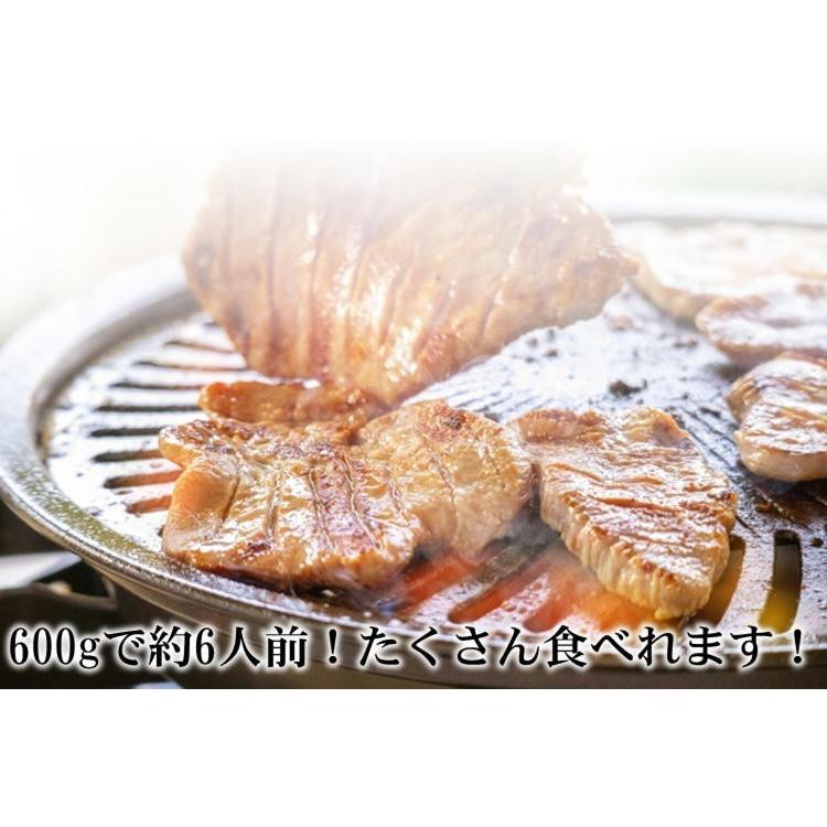仙台 名物 熟成 厚切り 牛タン 600g(300g×2) 塩味 スライス 牛たん ぎゅうたん 宮城 送料無料ギフト お祝い 贈り物 お中元 お歳暮 御歳暮|y-gift|04