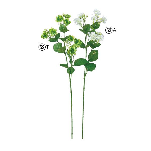 造花 とりよせ品 Asca アスカ ジャスミン 9 つぼみ 19 茉莉花 マツリカ ハゴロモジャスミン インテリア インテリアフラワー 春 Asc A 造花ドライフラワー専門問屋花びし 通販 Yahoo ショッピング
